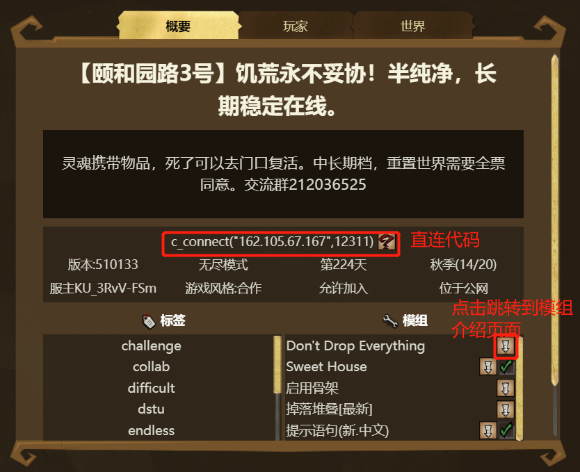 服务器详情页-概要